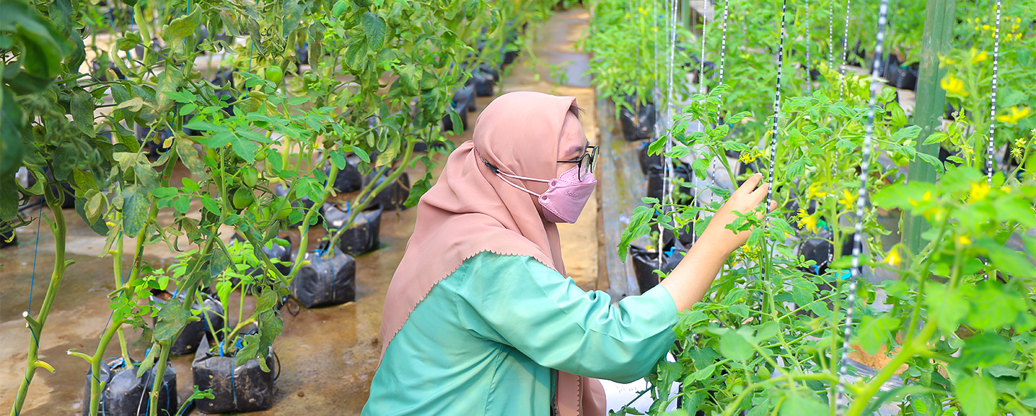 Mahasiswa Universitas Padjadjaran menjalankan pembelajaran lapangan